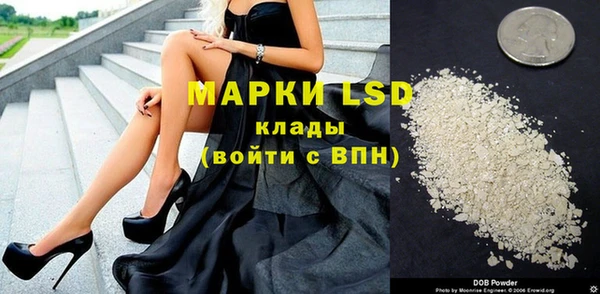 мяу мяу мука Алзамай