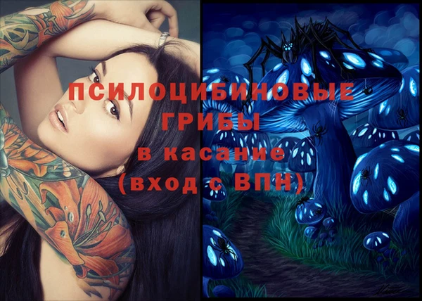 первитин Алексеевка