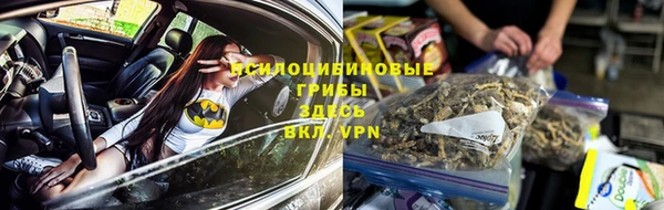 первитин Алексеевка